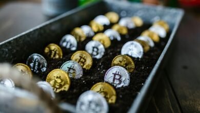 investing tips for beginners