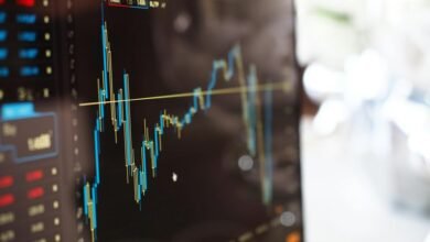 steady income investment options