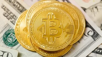 top long term investment picks