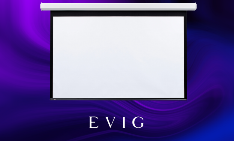 When to Choose Draper Targa XL Instead of Standard for Impressive Large Venue Projections