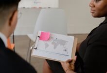 business insights for executives